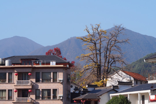 浙江临安指南村秋景