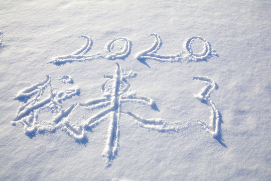 2020我来了雪地字