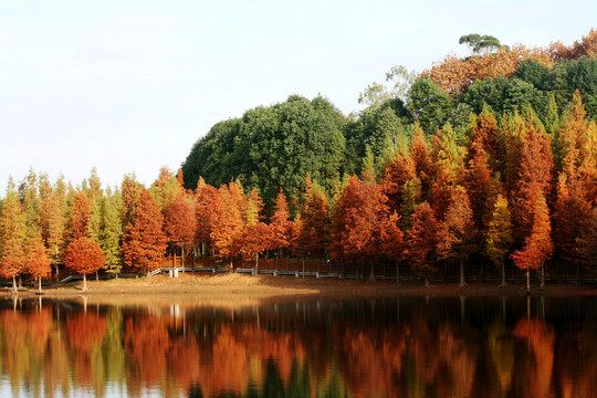 湖光山色