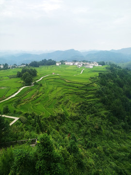 新農(nóng)村梯田