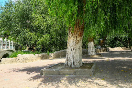 新疆哈密人民公园