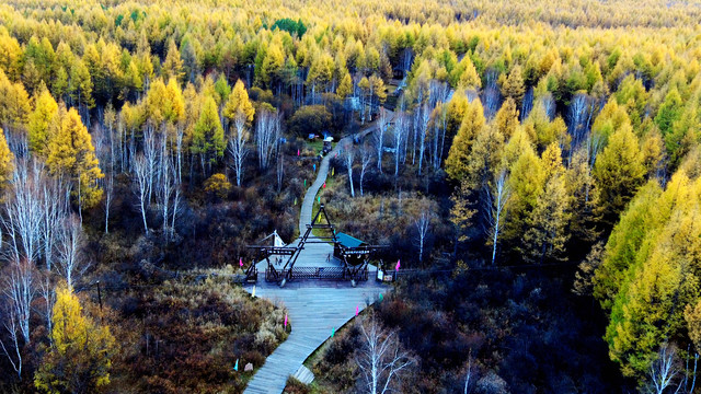 敖鲁古雅鹿场