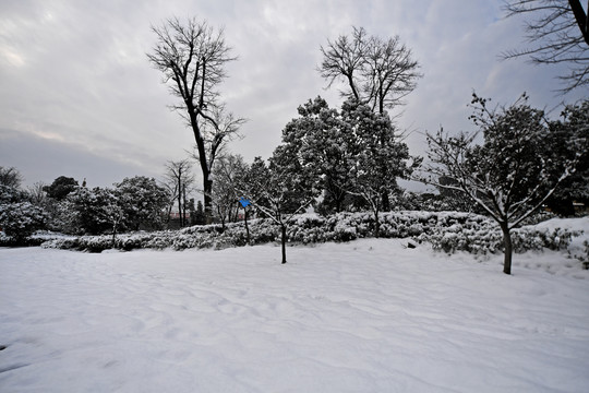 雪景