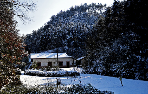 雪景