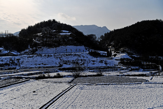 雪景