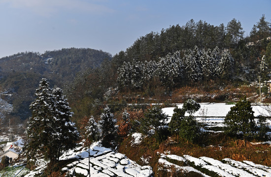 雪景