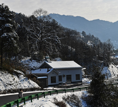 雪景