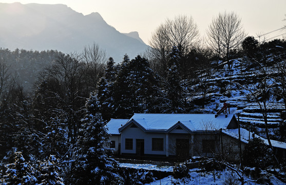 雪景