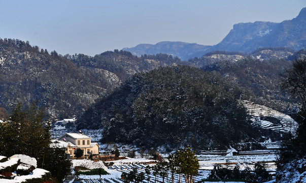 雪景