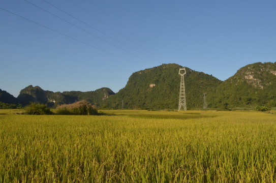 山村稻田