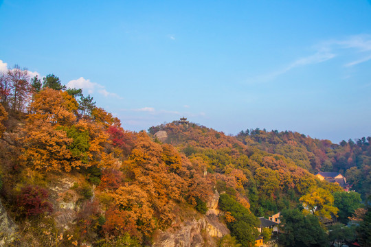 秋天的风景