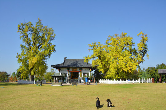 古惠济寺