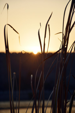 夕阳秋色