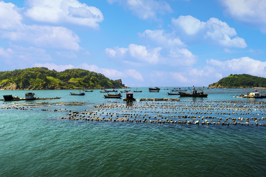 海景渔船