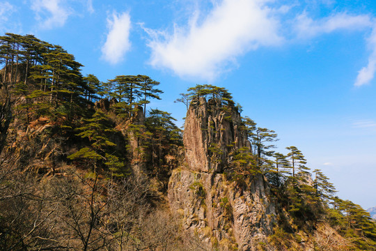 黄山风光