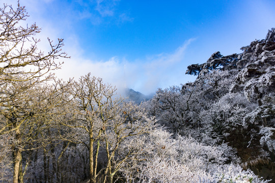 黄山雪淞