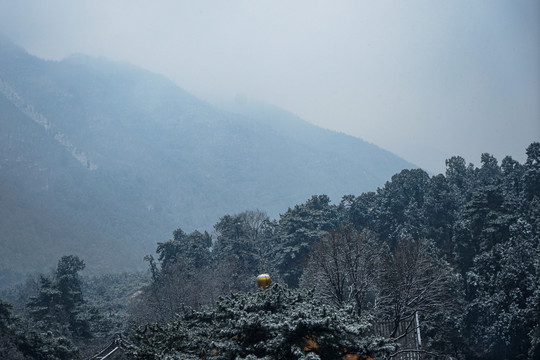 深林高山下雪