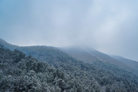 深林高山下雪