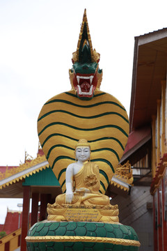 缅甸佛像