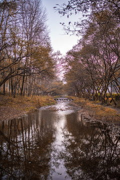 溪流河道