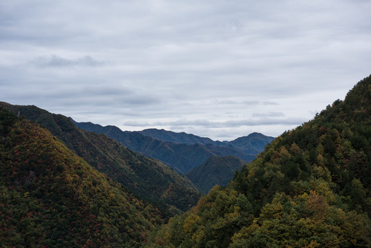 山景