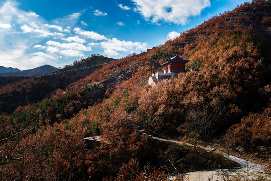 秋日的山东省威海市仙姑顶景区风