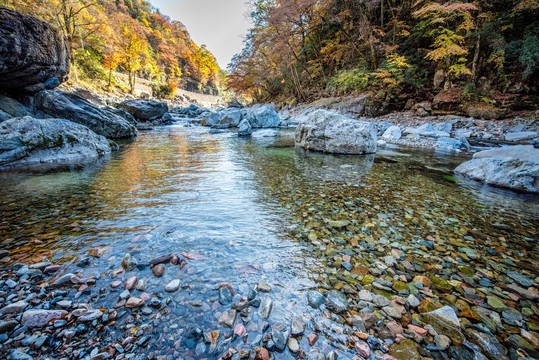 四川巴中光雾山十八月潭秋季红叶