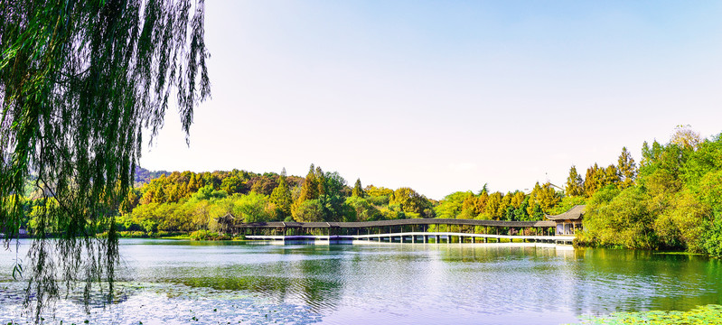 杭州西湖浴鹄湾景区全景图