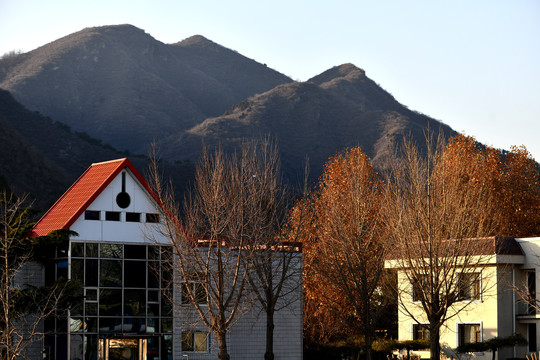 山庄小景