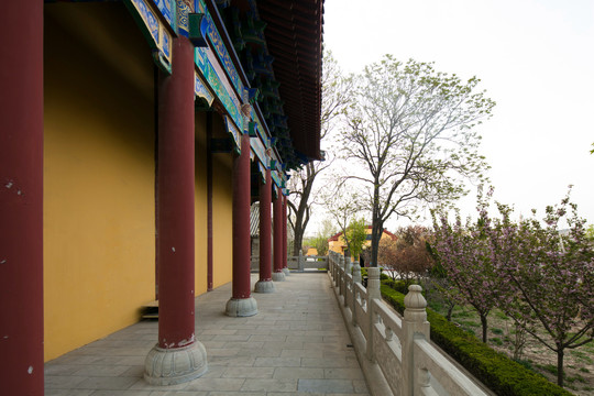 滨州无棣县大觉寺建筑