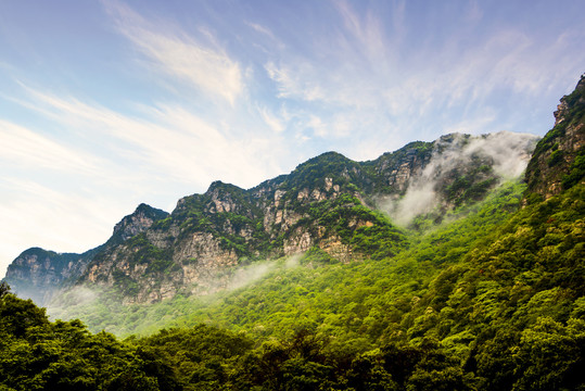 森林远山