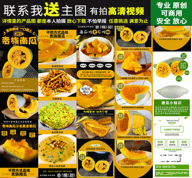 貴族南瓜詳情