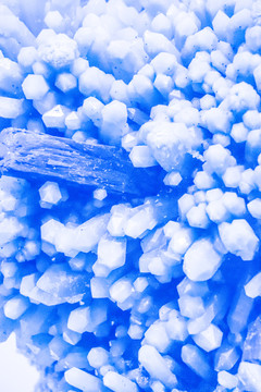 蓝色珊瑚石