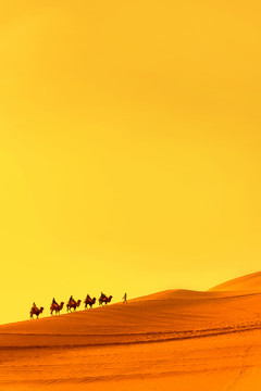 敦煌鸣沙山骑行骆驼队