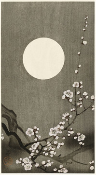 小原古村盛開(kāi)的梅花