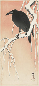 小原古村乌鸦在白雪皑皑的树枝上