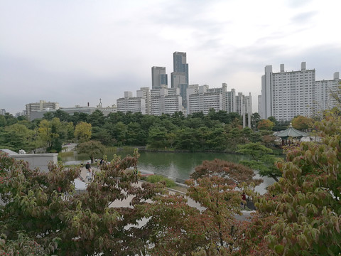 市区内湖水景观