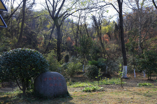 南京幕府山风景