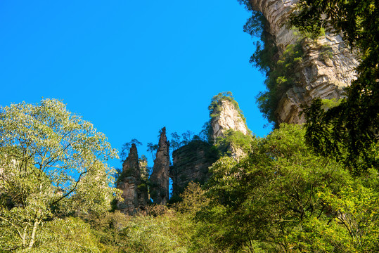 张家界金鞭溪周边山景