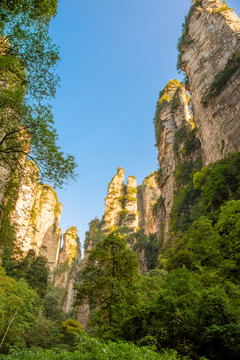 张家界金鞭溪周边山景