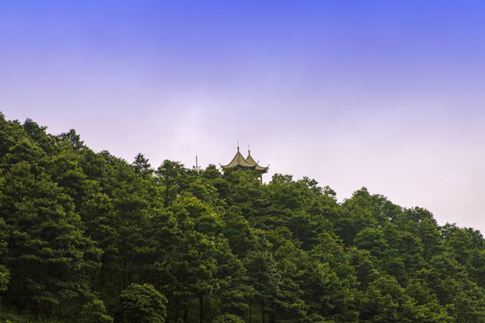 梧桐山森林公園