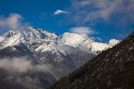 雪景