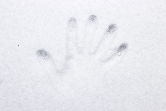 雪地上的手掌印