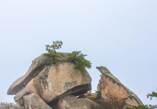 华山奇松怪石