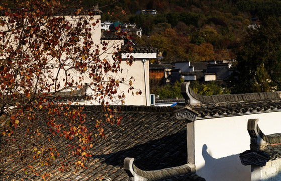 黄山塔川秋色