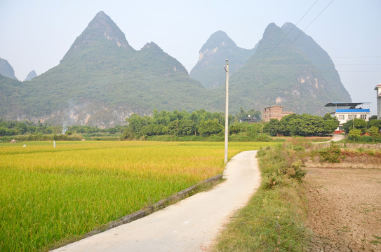 乡间道路