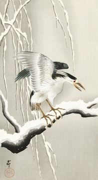 小原古村白雪皑皑的树枝上的小鸟