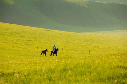 清晨草原骑马的蒙古族男人