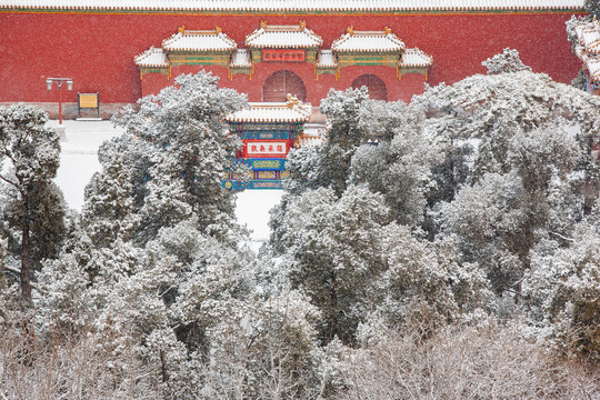 北京雪景风光
