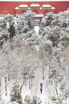 北京雪景风光